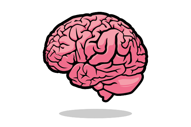brain-skill-prepare