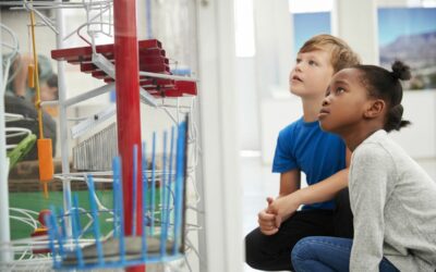 A Brief History Of Marble Runs